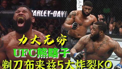 小菊最新比賽，友誼與夢(mèng)想的絢爛綻放