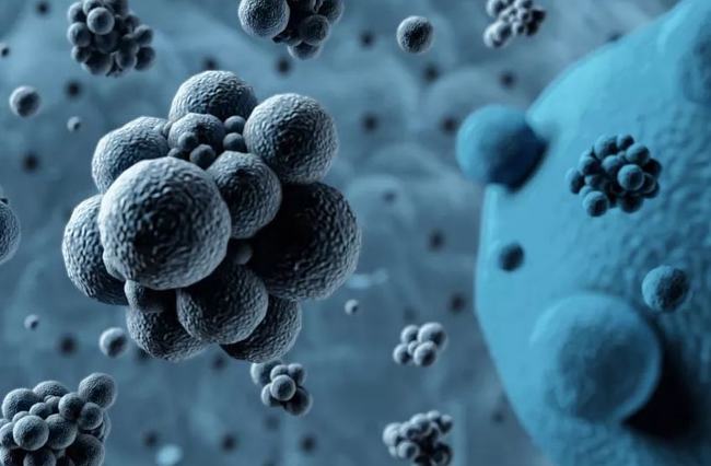 病毒擴(kuò)散最新情況，自然探險(xiǎn)之旅尋求內(nèi)心平和之地