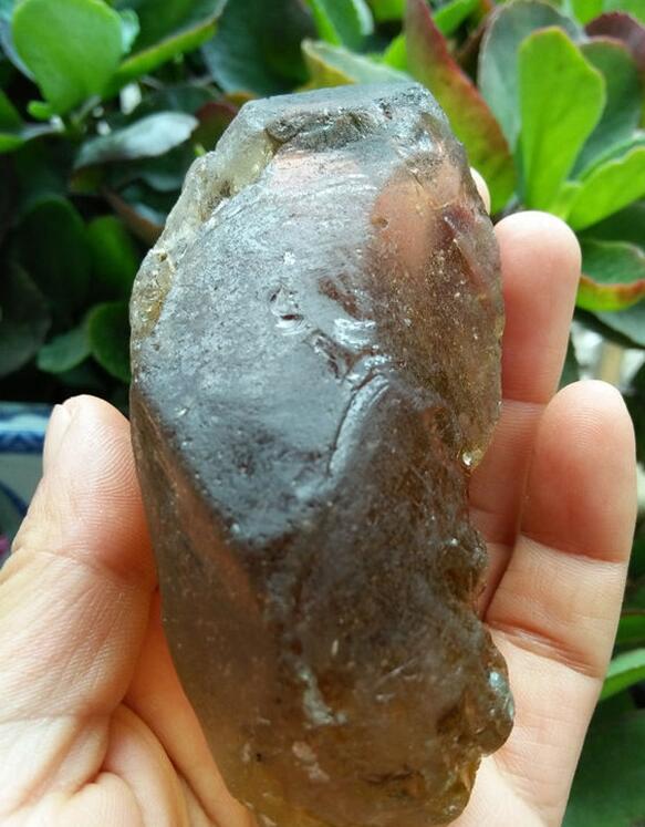最新鑒定法，揭示友情的印記與家的溫馨