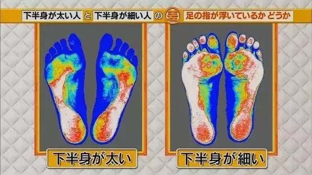 最新地趾論述，探索、爭(zhēng)議與觀點(diǎn)綜述