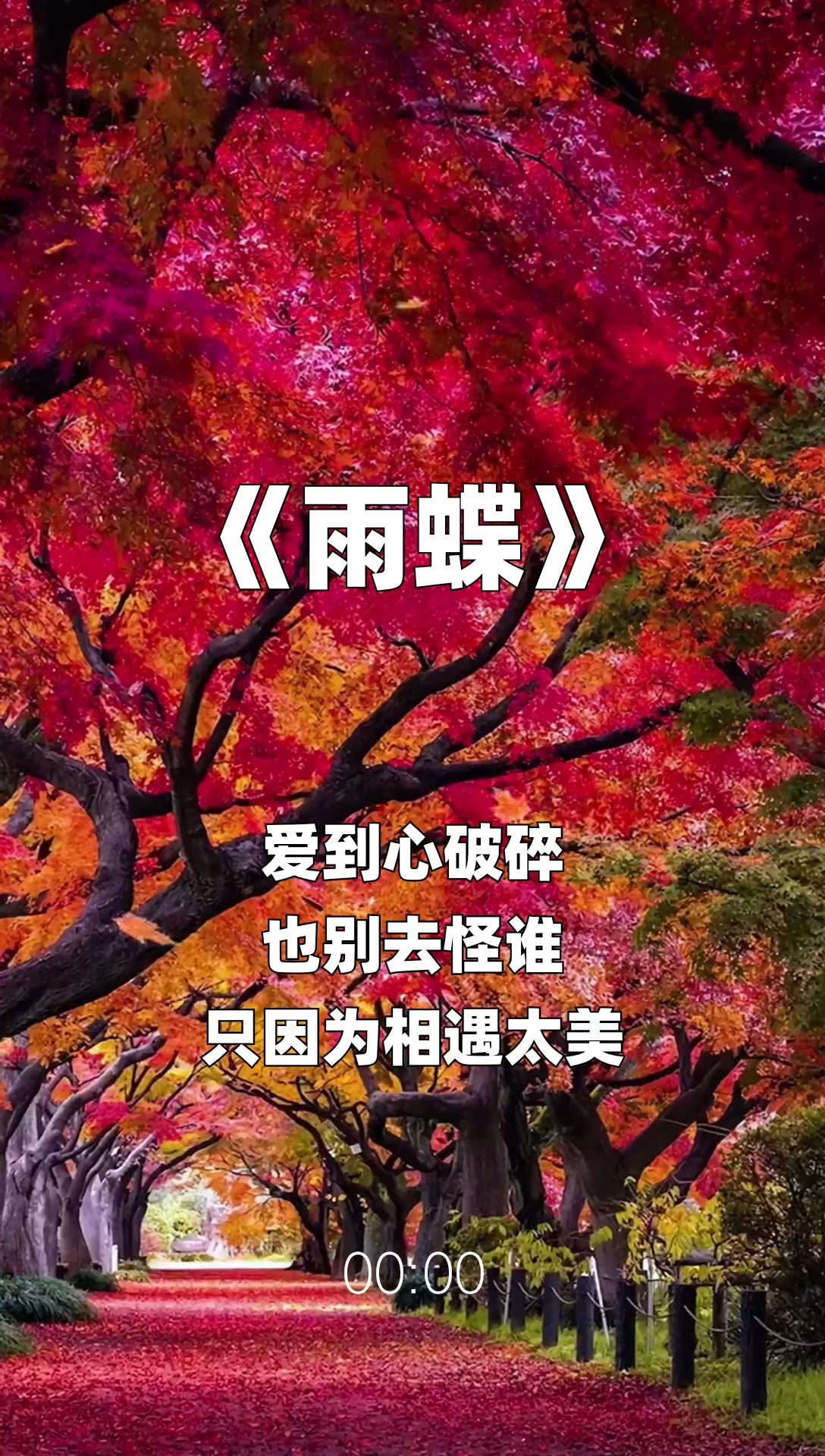 雨蝶最新步驟指南，如何完成任務(wù)或?qū)W習(xí)技能？