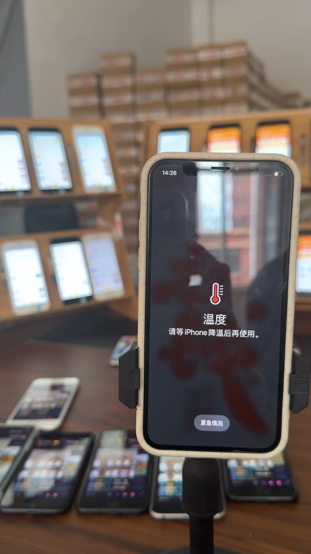 蘋果最新直播，科技與文化的完美融合盛宴
