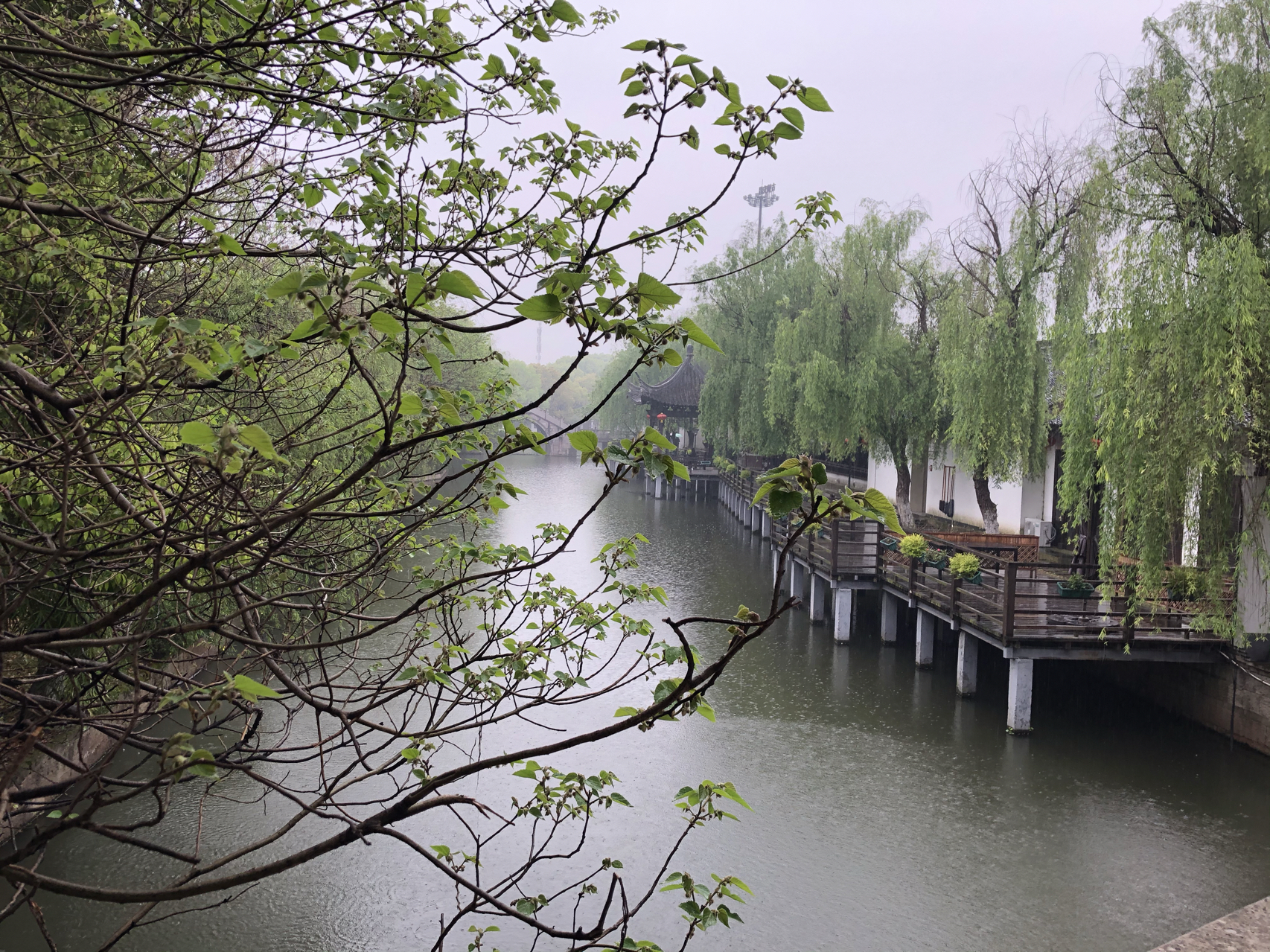 江南煙雨最新，自信與成就感的成長之旅