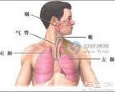 咸豐肺炎最新全面指南與詳解，癥狀、治療、步驟解析