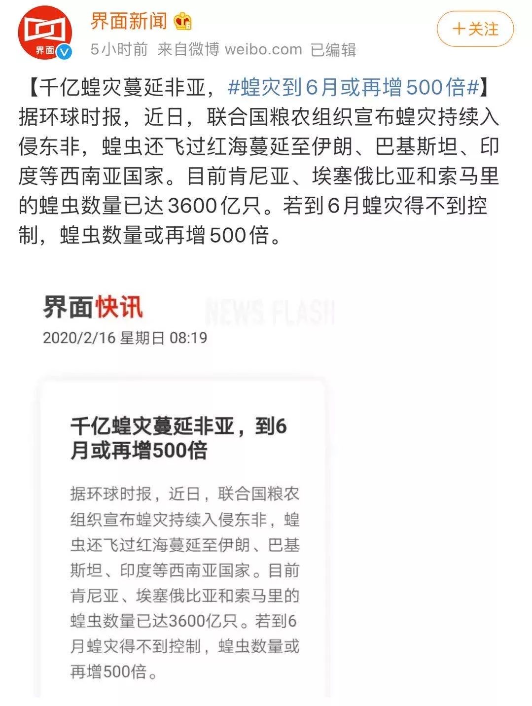 世界蝗災(zāi)最新動(dòng)態(tài)，探索自然美景的輕松之旅