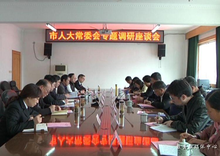 安徽歙縣最新動態(tài)，小巷深處的驚喜