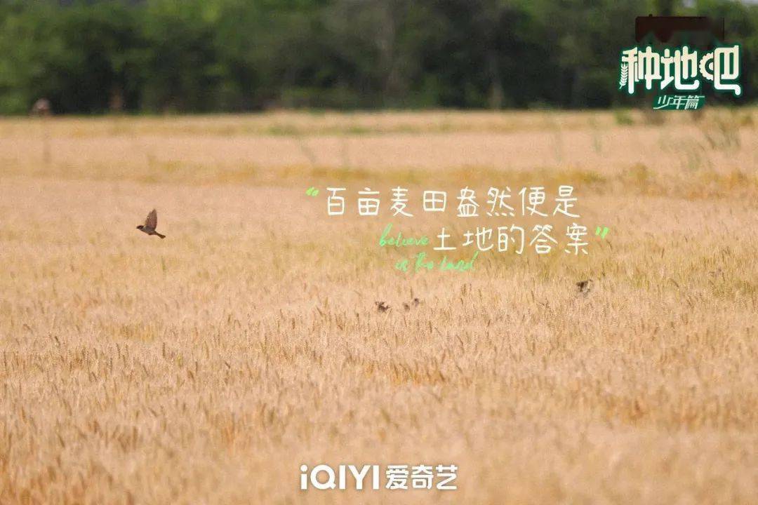 種地吧最新語錄，探索未來農(nóng)業(yè)的高科技魅力