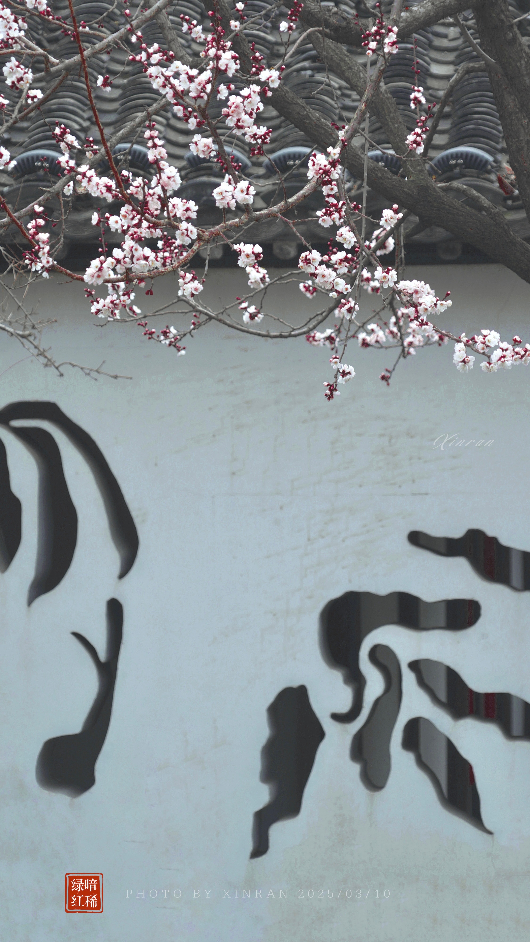 紅杏出墻新變化，自信閃耀，成就無限可能的學習之旅