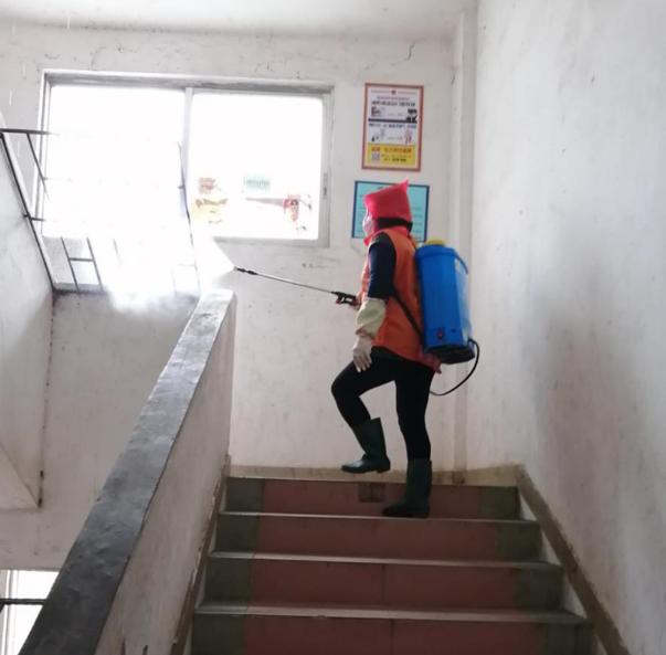 蓬江區(qū)最新高科技住宅，重塑未來(lái)生活體驗(yàn)的首選之地